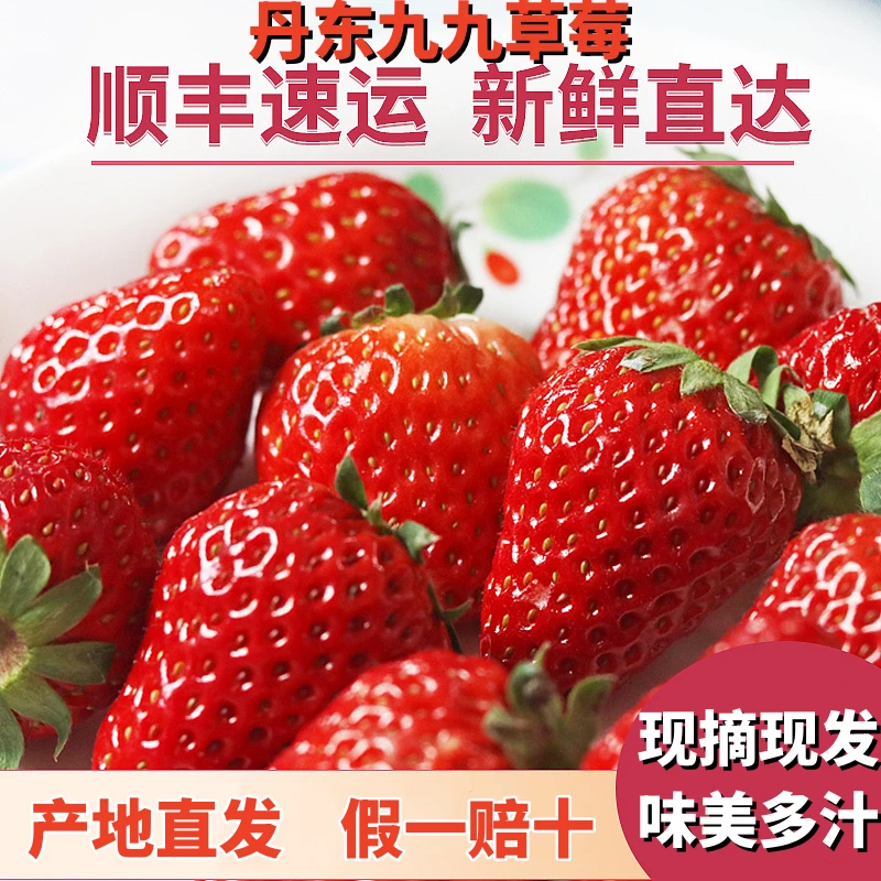 丹东东港马岗九九草莓产地发货自家大棚现摘现发假一赔十新鲜营养