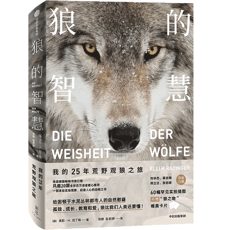 樊登推荐 狼的智慧 埃莉H拉丁格著   动物智慧  进化论 狼性 适应
