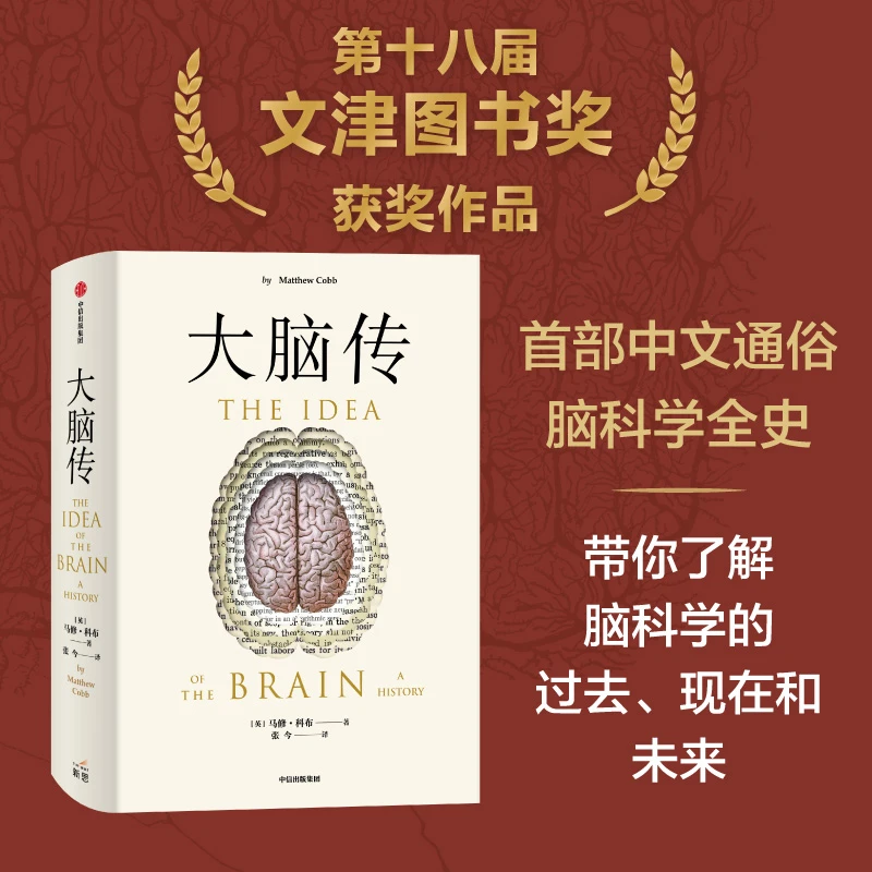 大脑传 马修科布著