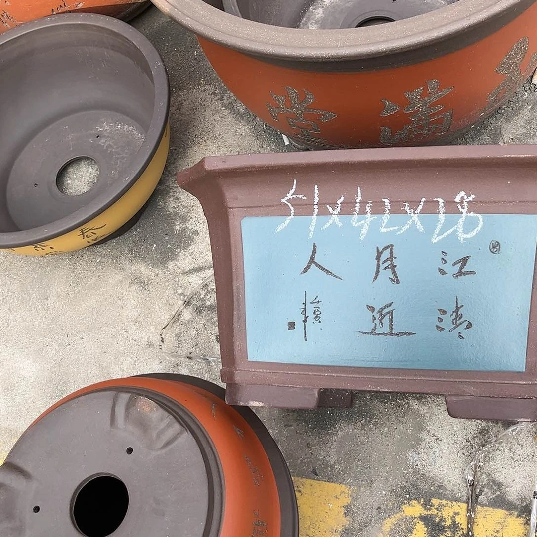 紫砂花盆盆景艺术