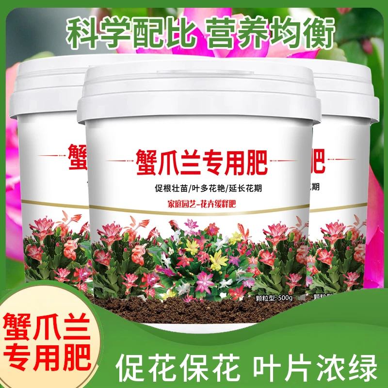 蟹爪兰专用有机肥料科学配比营养均衡缓释颗粒肥防止变软发蔫干瘪