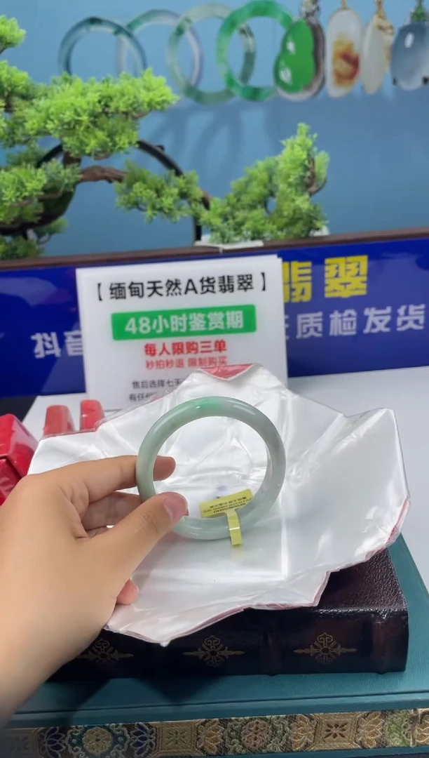【闪购商品】翡翠手镯未镶嵌手镯9