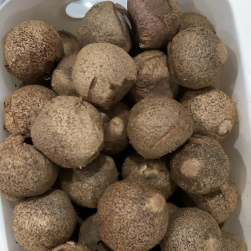 精挑去壳天然大果白佛心半成品车挂手把