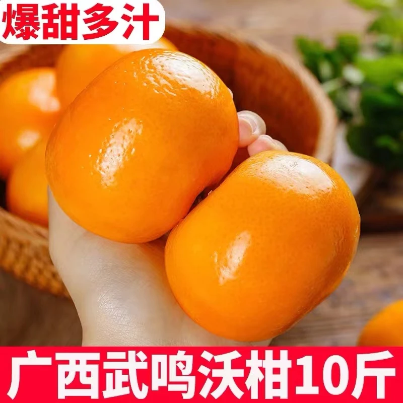 津果欢正宗广西沃柑新鲜当季水果产地直发直播批发5-10斤整箱柑子