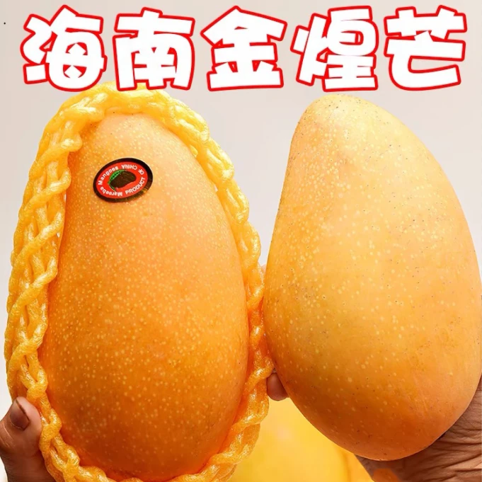 海南金煌芒果大果新鲜水果批发整箱正宗水果产地直发直播