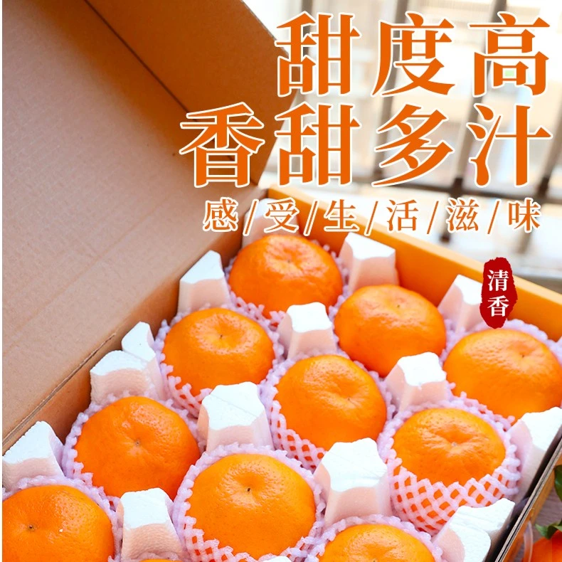 【顺丰包邮】正宗四川春见耙耙柑5-10斤丑八怪橘子礼盒新鲜水果直播