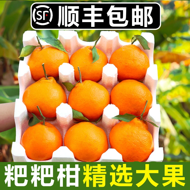 津果欢顺丰包邮四川春见耙耙柑5-10斤整箱丑八怪橘子桔子新鲜水果
