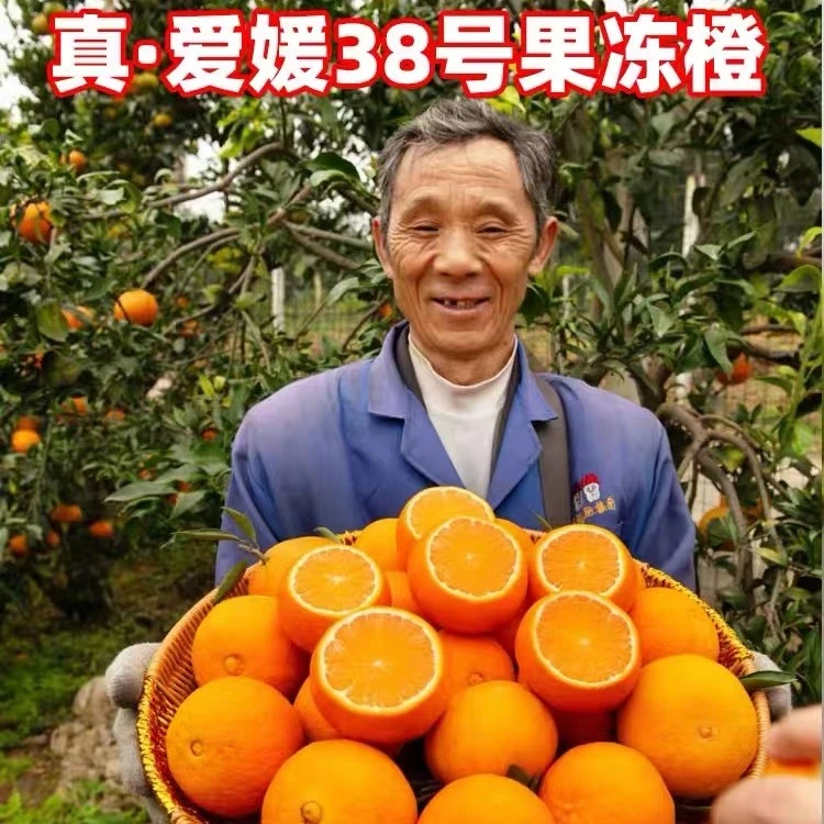 四川爱媛38号果冻橙橙子手剥甜橙网红水果4-8斤新鲜现摘精选直播