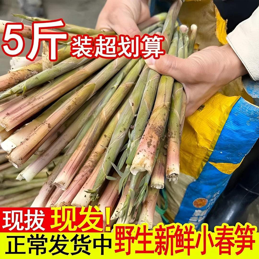 湖南新鲜竹笋现挖大山小竹笋带壳现拔春笋新鲜脆笋水竹笋甜笋笋仔