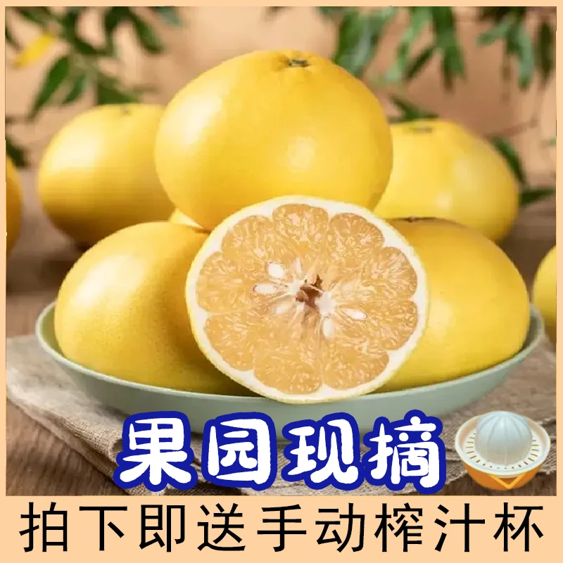 【水果先生:精选】福建爆汁黄金葡萄柚当季水果4.5斤装