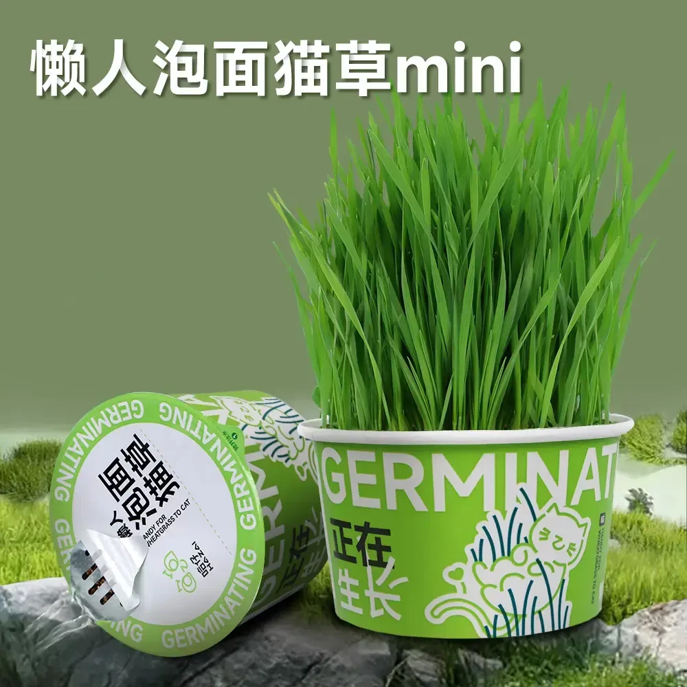 懒人泡面猫草创新滤水设计猫咪零食化毛排毛球懒人猫草mini
