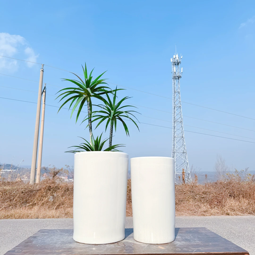 高直筒百搭绿植天堂鸟龙血树高温陶瓷龟背落地大口径花盆