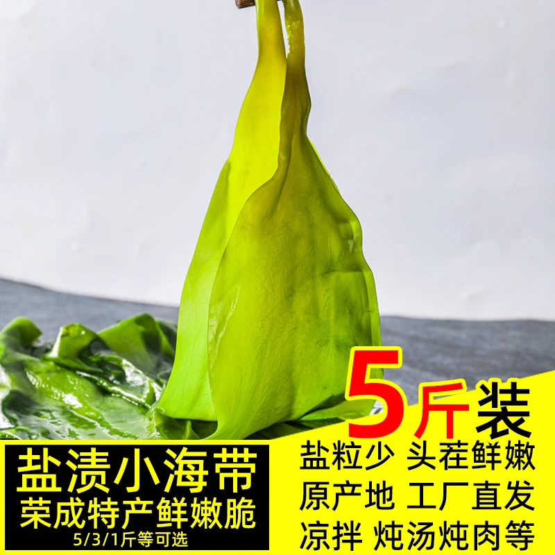 荣成盐渍小海带苗5斤新鲜嫩海藻凉拌菜火锅食材爽口整箱商用杜