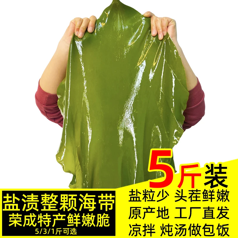 盐渍整颗海带5斤包饭荣成特产凉拌菜新鲜涮火锅食材整箱批发