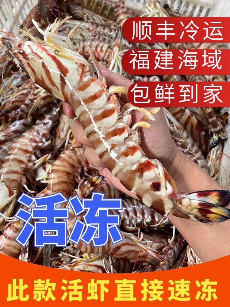 【一斤7-8头特大虾】野生大斑节虾九节虾液氮速冻索鲜18厘米左右