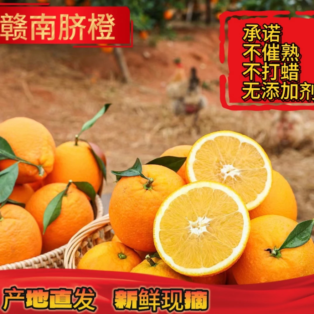 巨好吃的冬季水果首选正宗江西赣南脐橙【果园直发】新鲜现摘