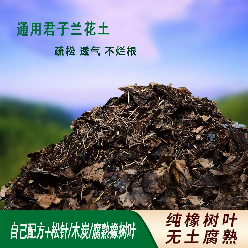 花君子兰专用松针腐叶土疏松透气促进生根生长营养均衡