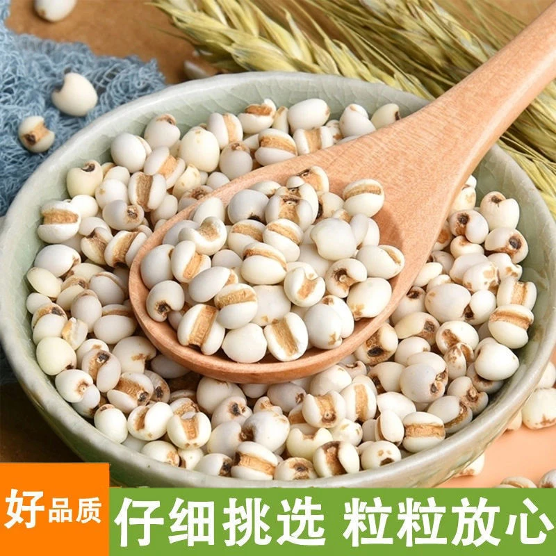 夏日清凉 家庭装薏米煲水 煲汤