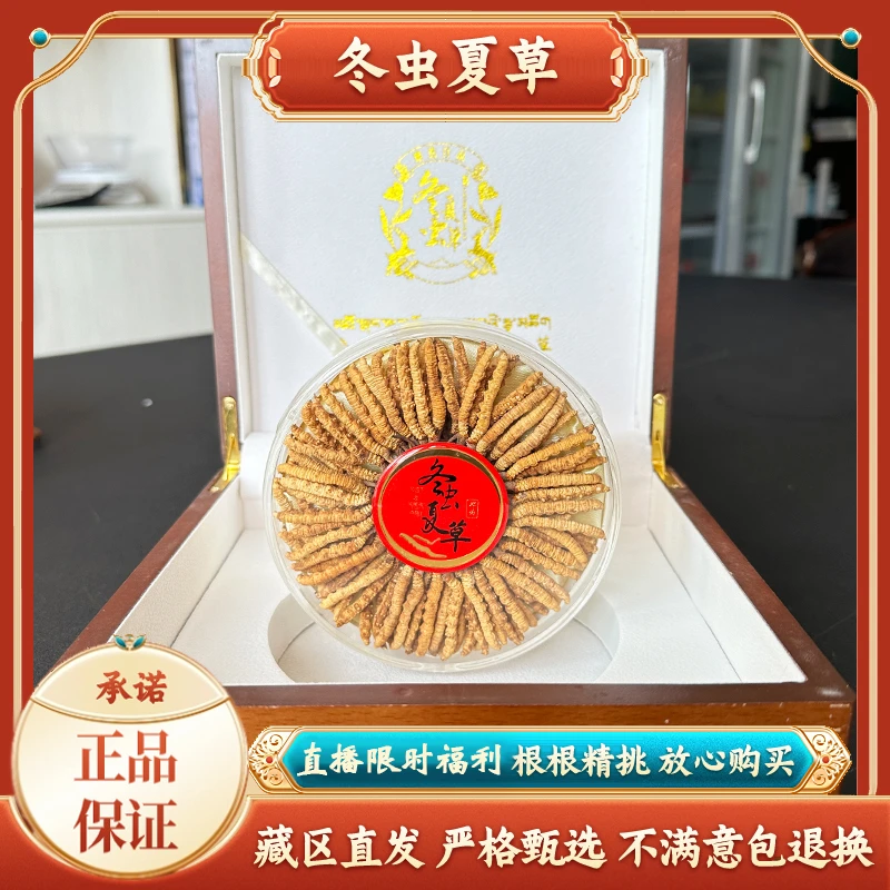 【S级甄选30根】冬虫夏草正品头期新干草 水晶管包装 滋补好礼推荐
