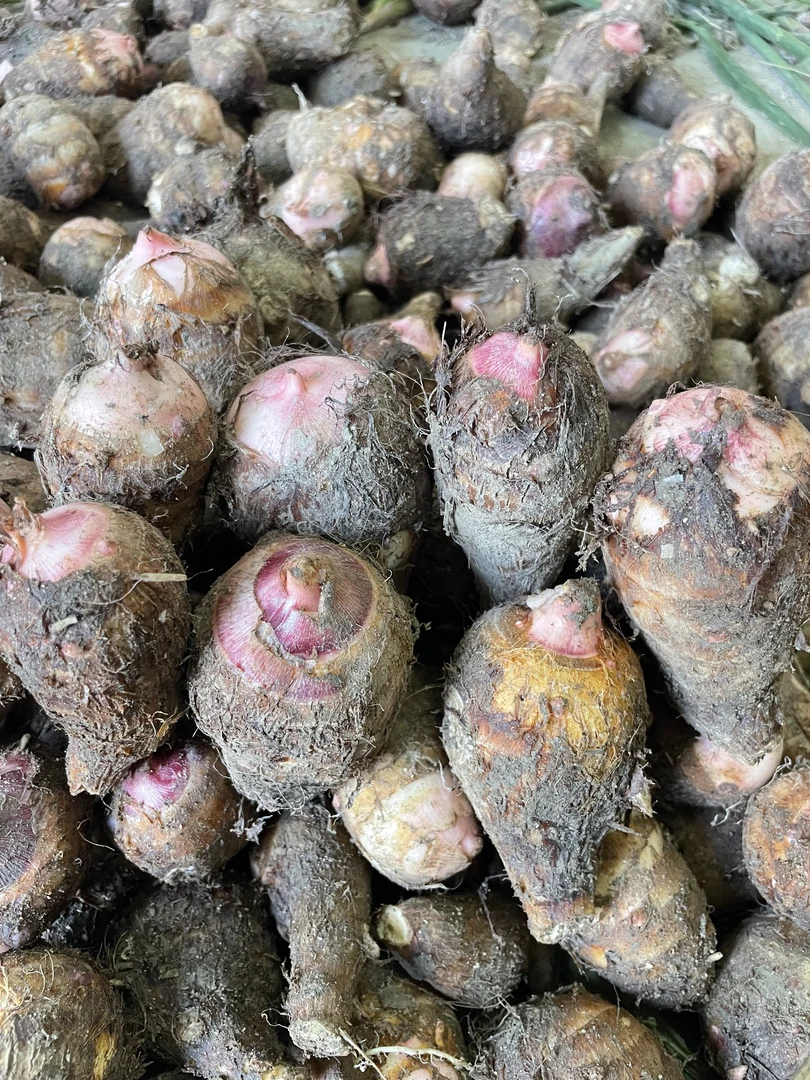 小希家乡红芽芋头农家肥种植3-5斤 粉糯香甜