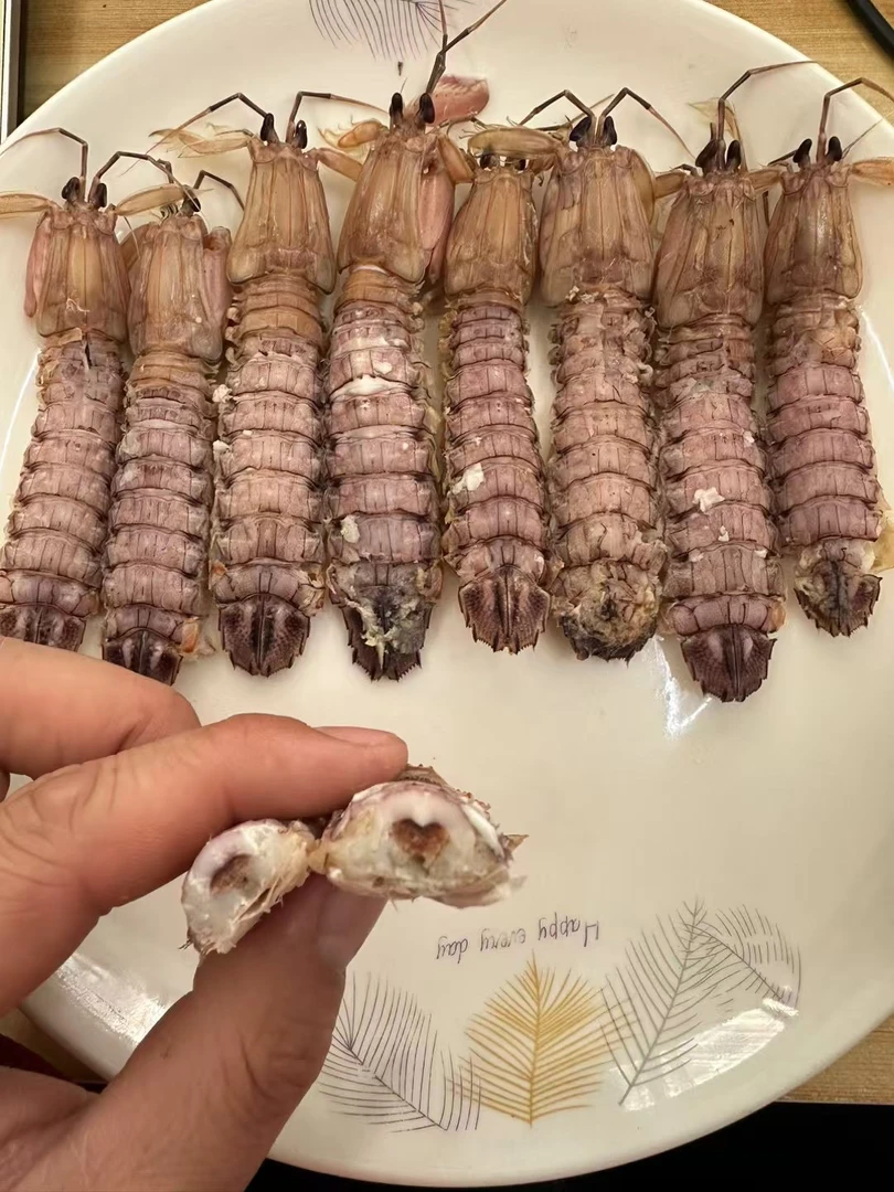 本地小皮皮虾有公有母（母的微微带仔）