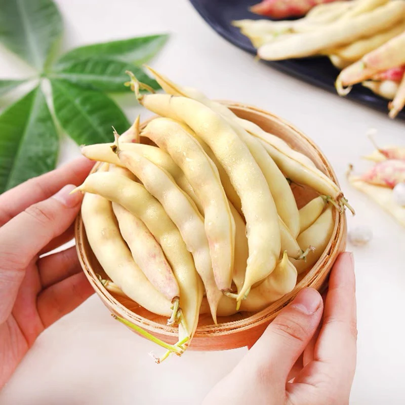 黄金勾豆角4.5斤装