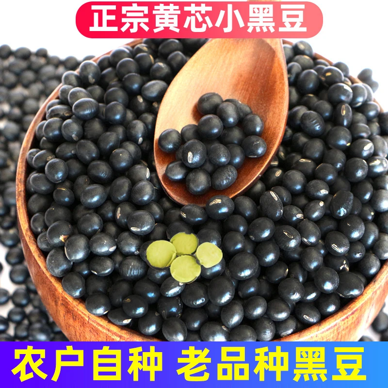黄心小黑豆5斤新豆农家自种五谷杂粮黄芯豆打豆浆专用豆子