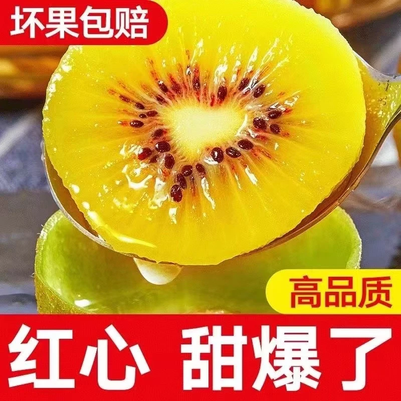 【直播专享】60-70中小果现摘红心猕猴桃猕猴桃孕妇水果批发 奇异果