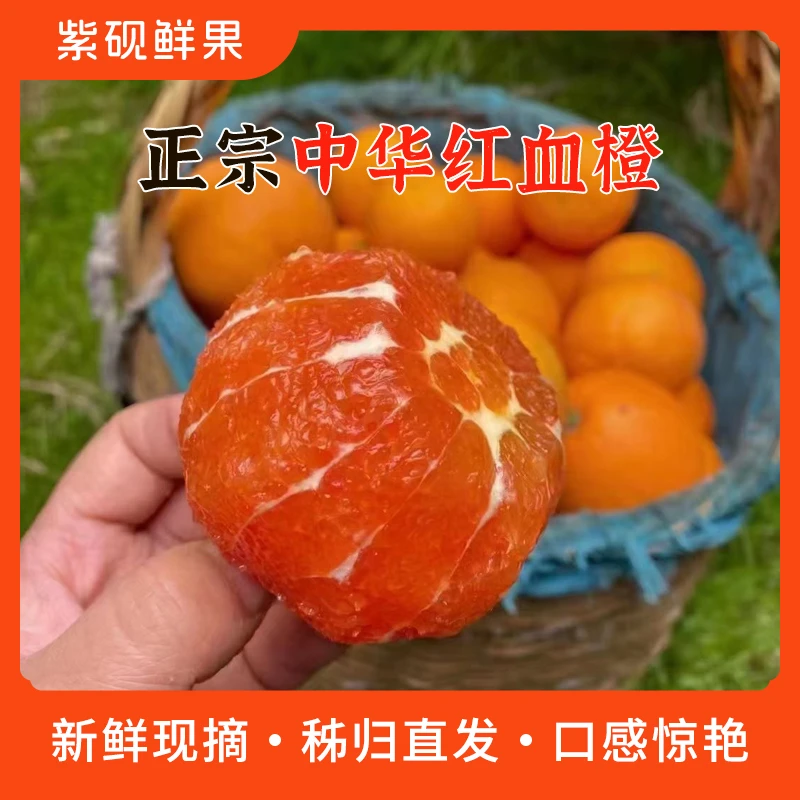 【宠粉款】正宗湖北中华红血橙 皮薄肉嫩甘甜爆汁 坏果包赔带箱四斤