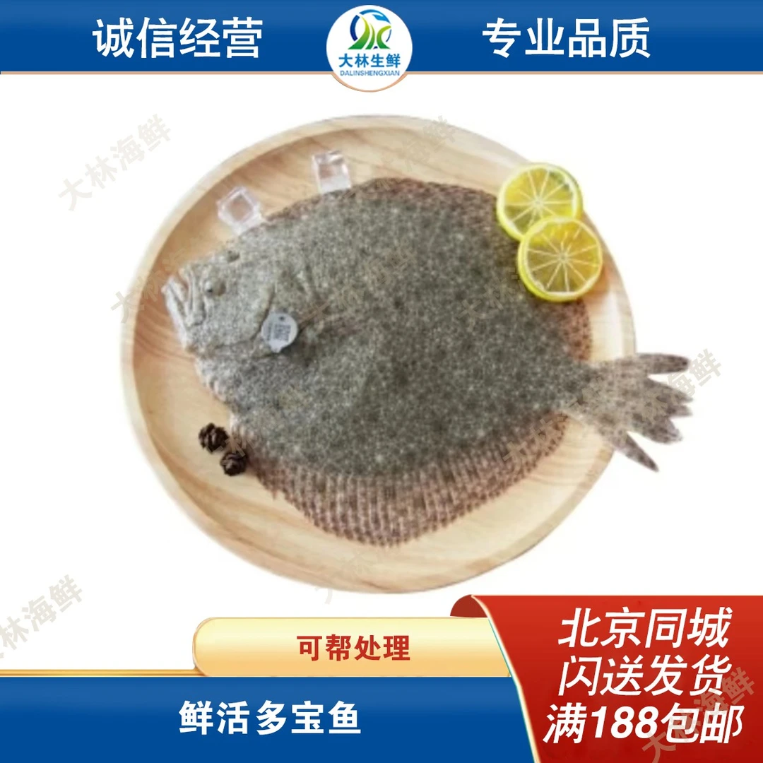 鲜活多宝鱼 比目鱼1.5-1.7斤/条 默认宰杀,不宰杀请备注