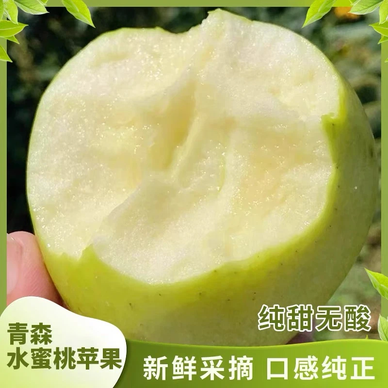 青森明月 口感香脆 全甜无酸 农户直销  8斤