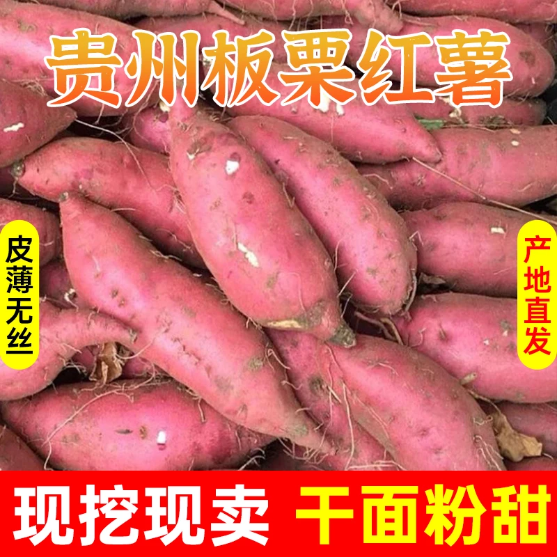 【达人专供】【坏果包赔】现挖板栗红薯番薯干面粉甜老少皆宜板栗蜜薯