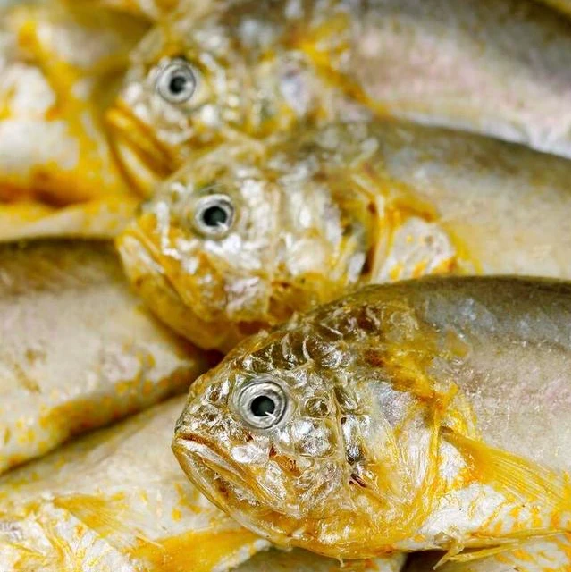 码头江江海鲜 梅子鱼品质鲜嫩高端食材海鲜
