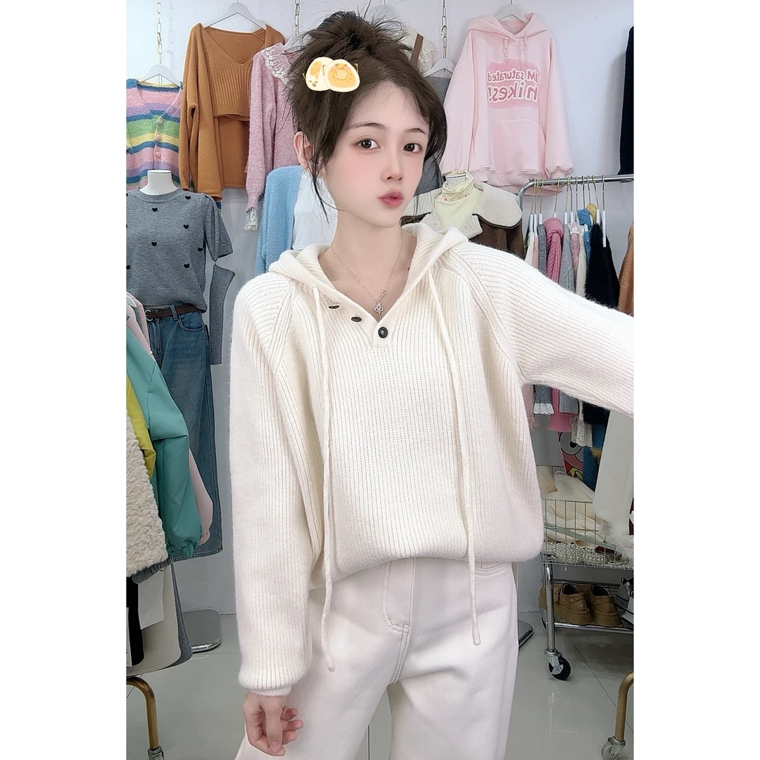 770冬季百搭连帽毛衣