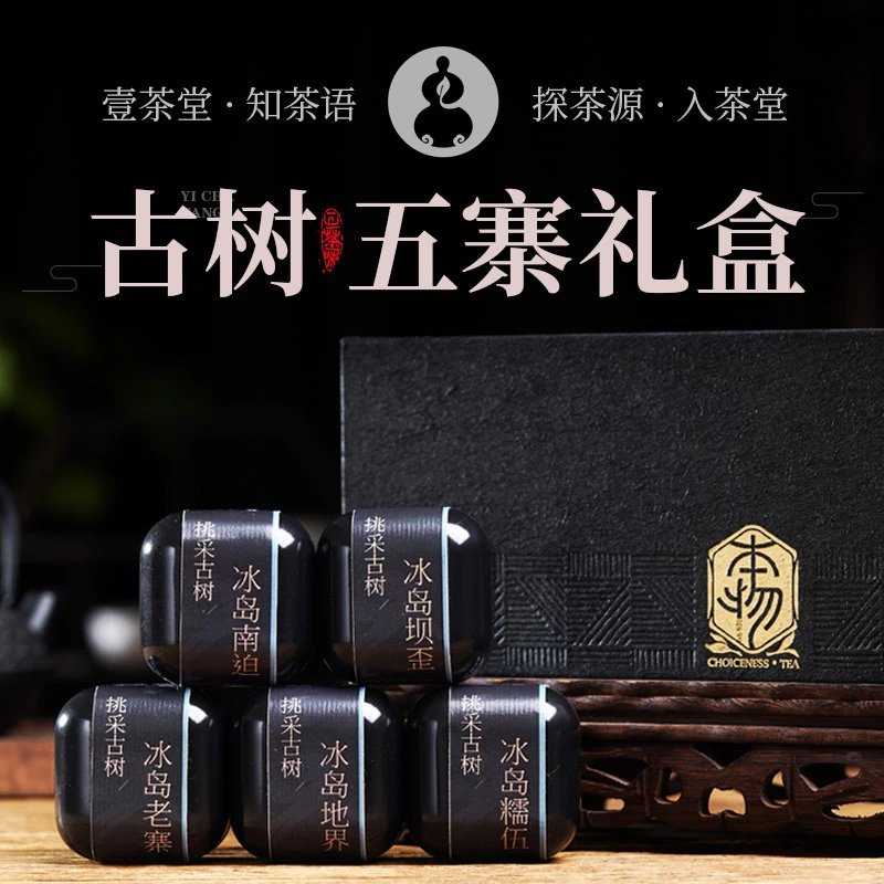 冰岛五寨龙珠挑采古树普洱生茶2023壹茶堂冰岛生普洱茶生茶礼盒装