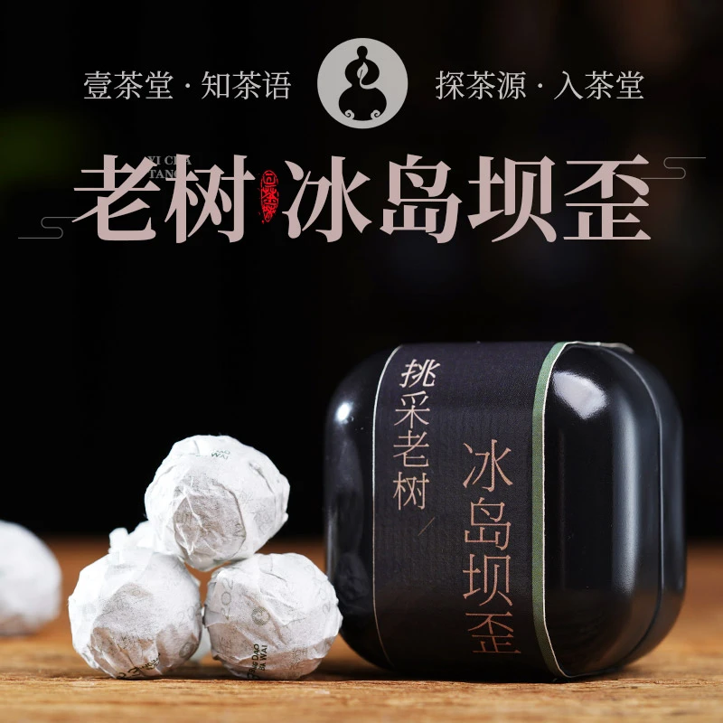 冰岛坝歪龙珠挑采老树纯料普洱生茶2023壹茶堂冰岛普洱茶生茶龙珠