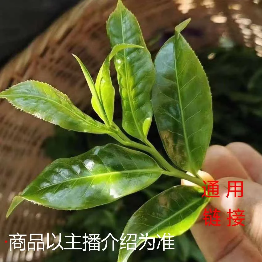 【大文茶叶】2015年那蕉春茶生茶饼357克通用链接(拍6发7)