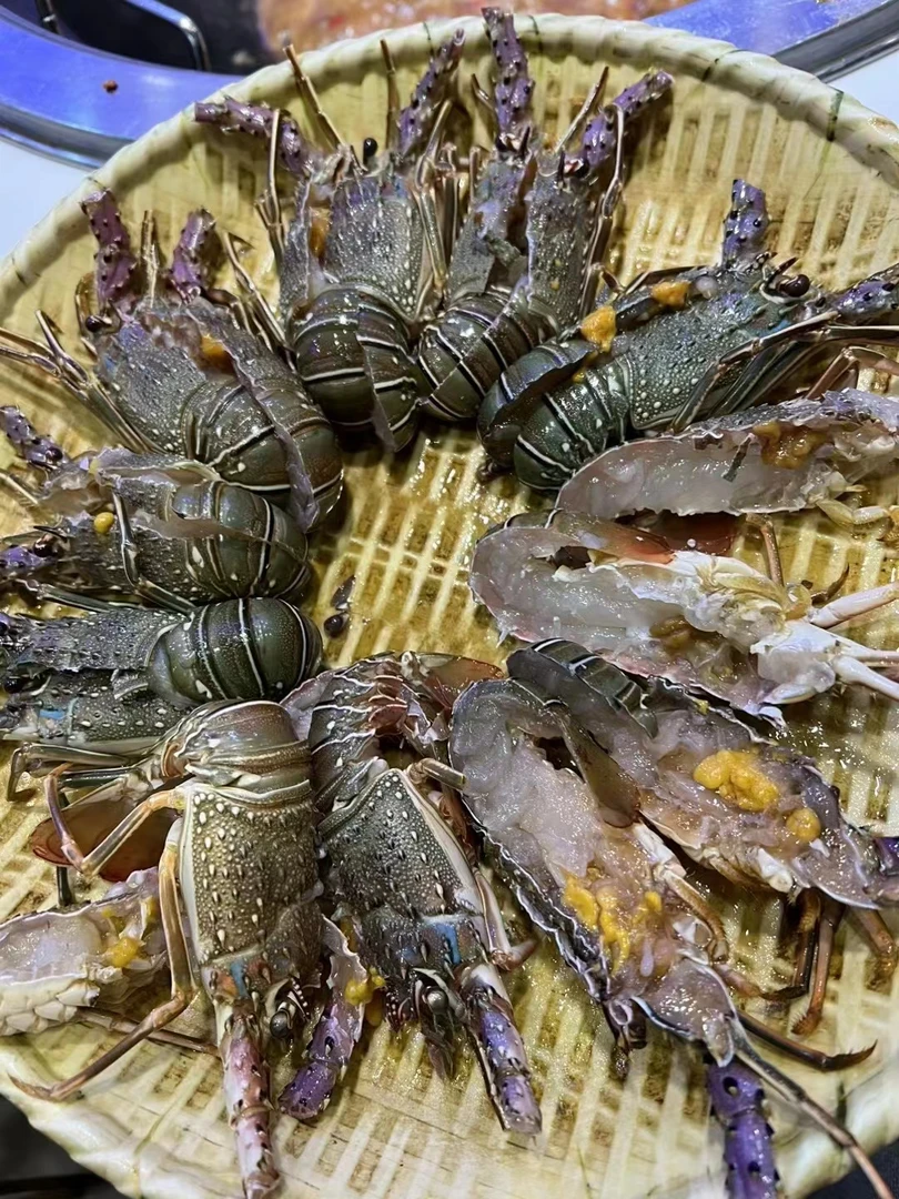 迷你小青龙 10只装  单只1.0-1.2两/只（包鲜不包活）