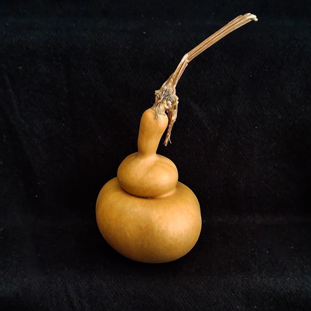 天然文玩小葫芦  直播间选购链接