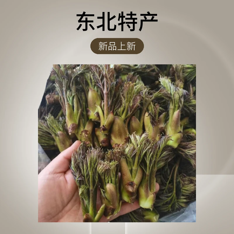 【空运包邮】新鲜野生刺嫩芽东北特产刺老芽