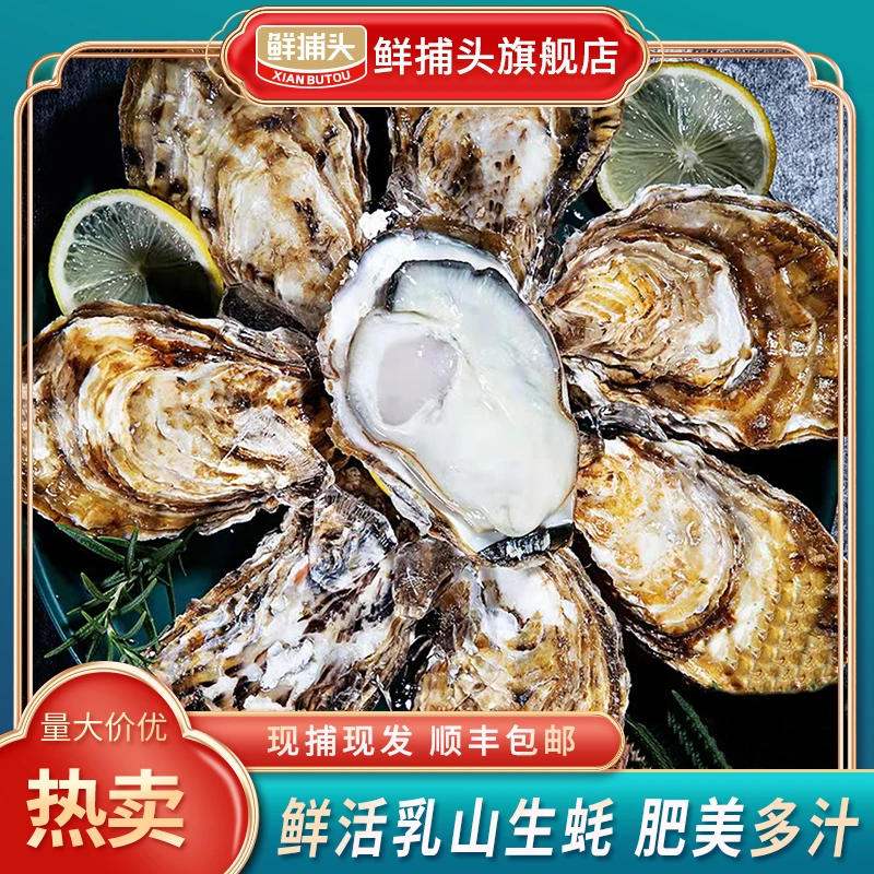 【鲜捕头】鲜活乳山生蚝 现捕现发 肥美多汁 顺丰冷链 整箱5斤