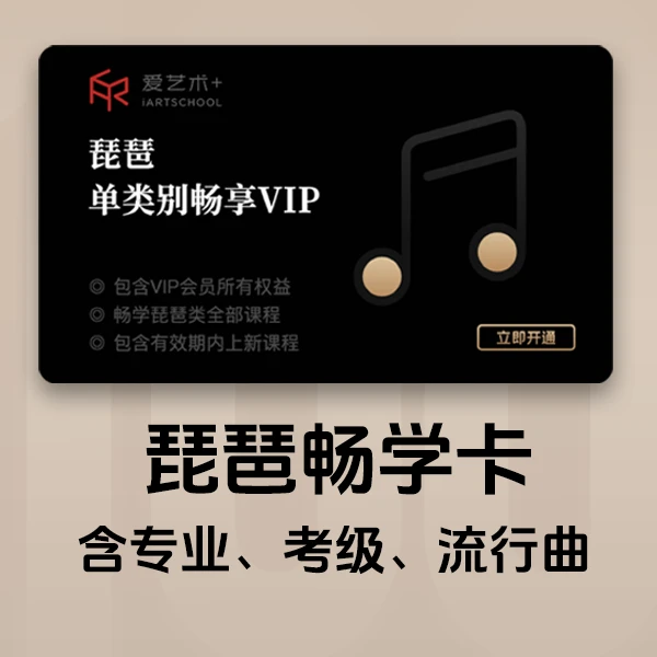 【含三年点对点指导答疑】琵琶畅学卡(买一年送两年)