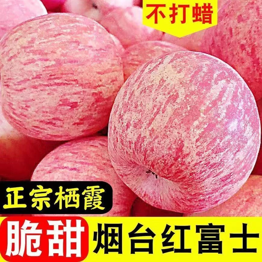 【四季风】山东烟台红富士苹果新鲜脆甜水果冰糖心平果整箱批发包邮