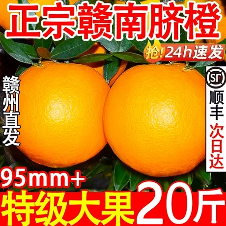 【四季风】正宗赣南脐橙新鲜20整箱特级大果江西阳光皮薄橙味鲜甜