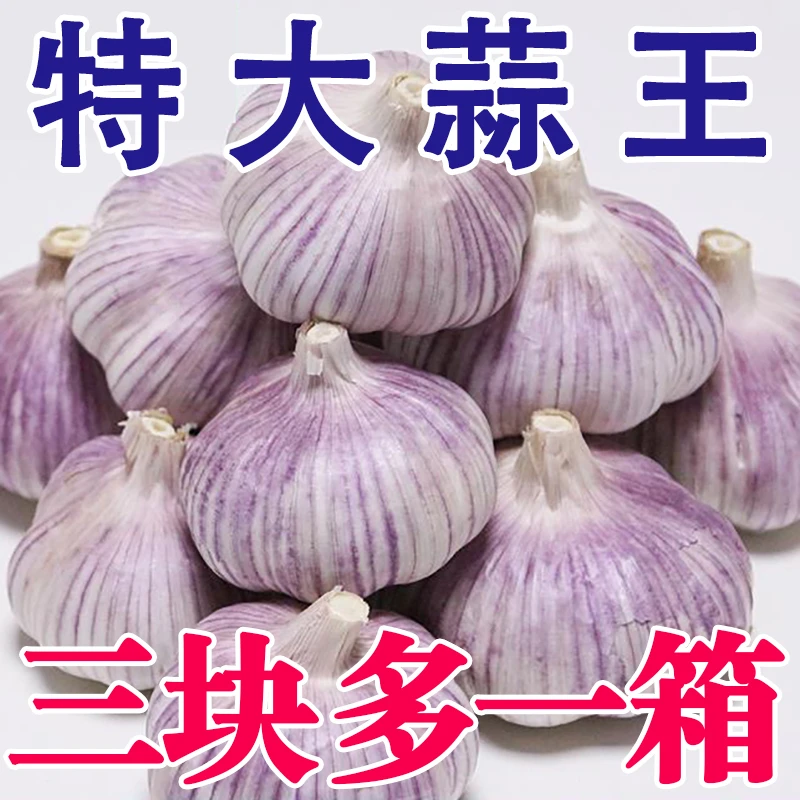 【四季风】【】金乡新干蒜大蒜头干大蒜批发红小孩原生态爽口包赔