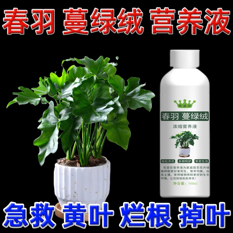 龙鳞春羽水培营养液蔓绿绒肥料生长土培花肥园艺土壤适用种植枝叶