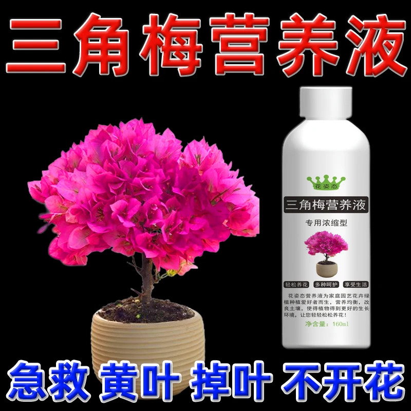 三角梅专用花肥三角梅营养液开花爆盆催花开花专用肥料