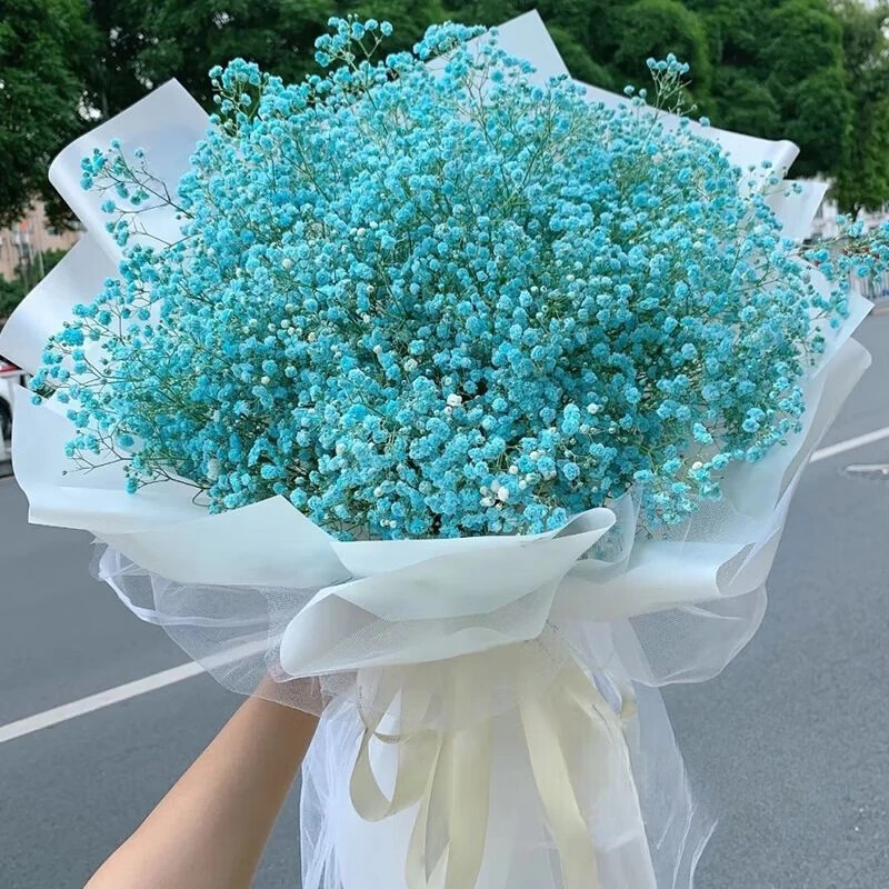 【满眼星辰】一束蓝色满天星花束送女友闺蜜朋友花店送花上门