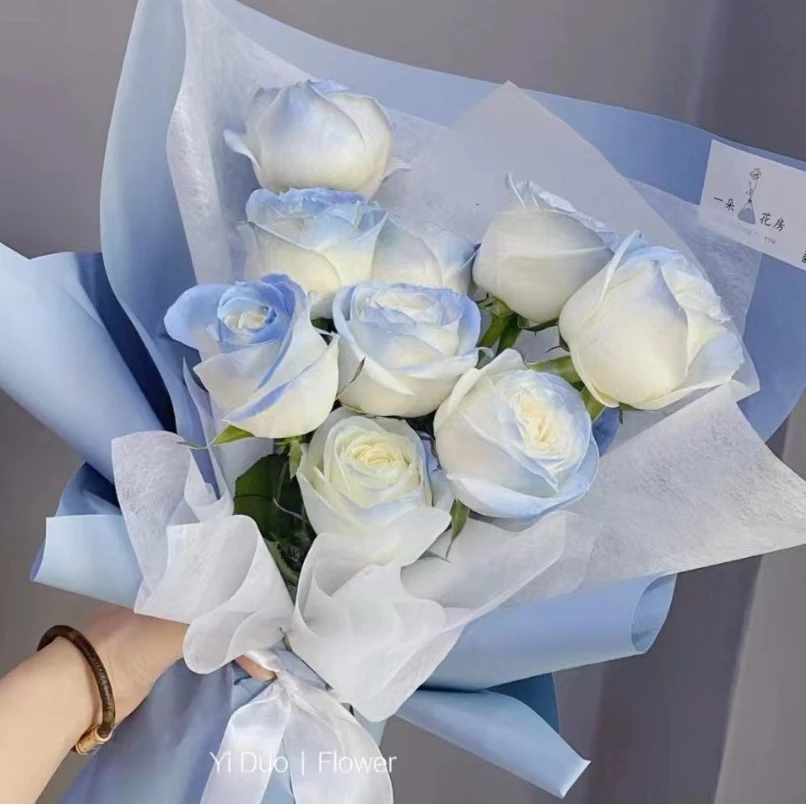 【夏天的一抹清凉 】9朵碎冰蓝女友爱人生日礼物同事闺蜜送朋友爱人女友男友同事长辈老师闺蜜同城鲜花花束