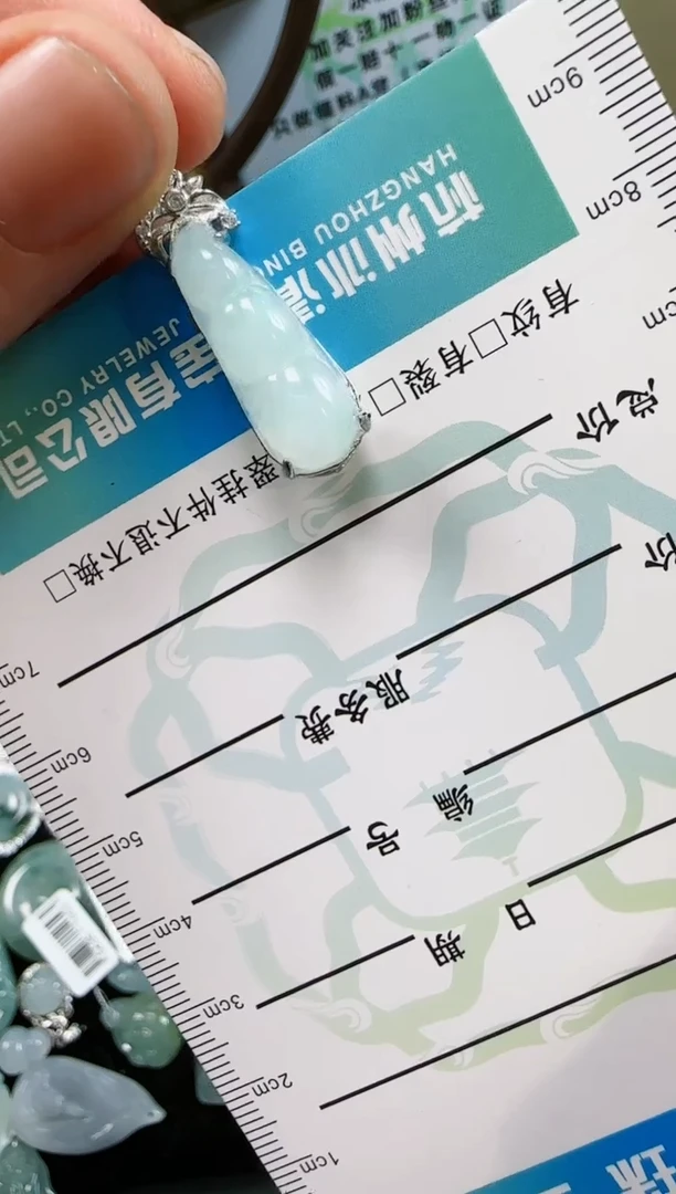 【闪购商品】翡翠颈饰未镶嵌豆子